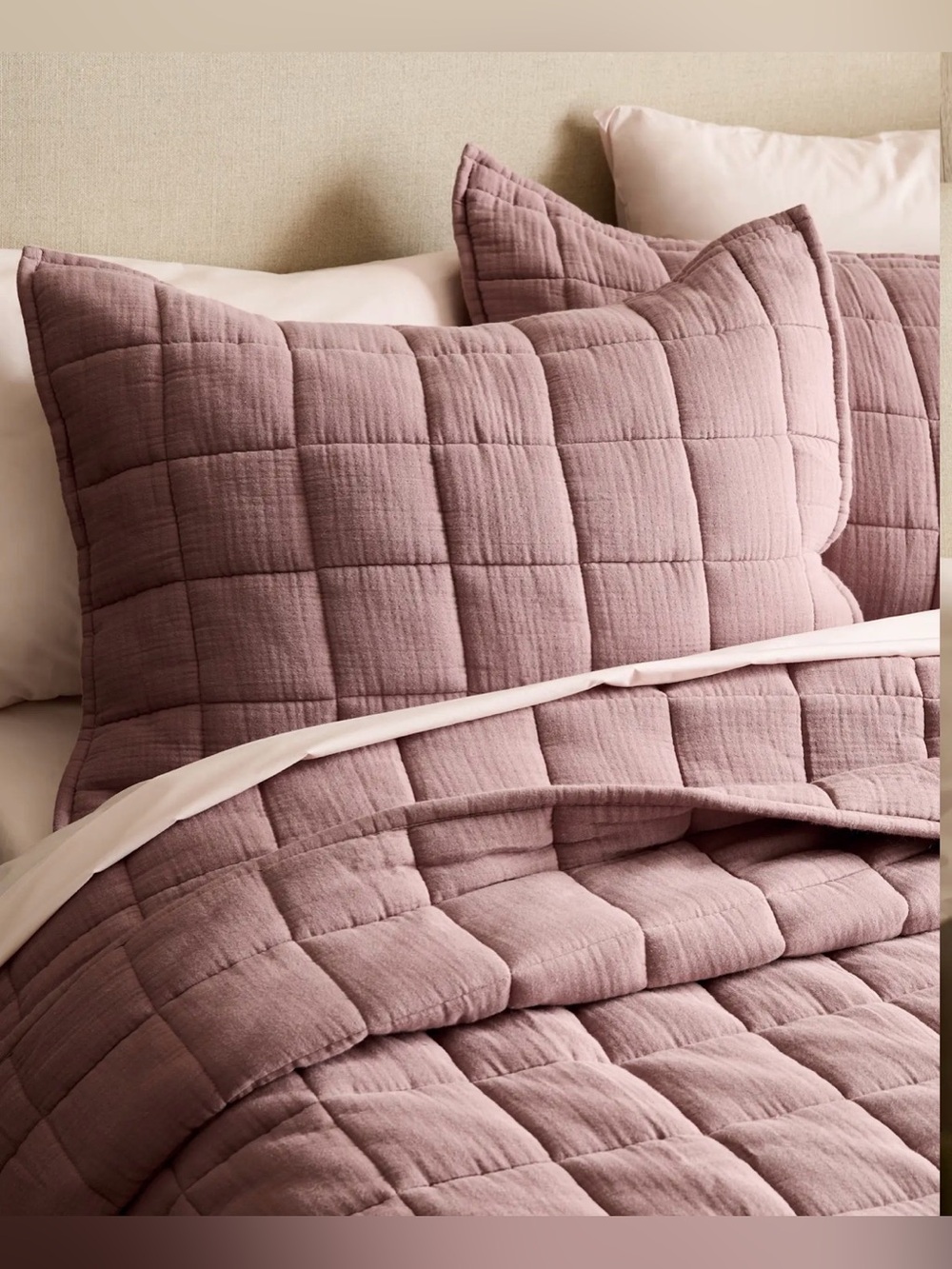 Quince Fig Organic Airy Cotton Gauze Sham - Set of Two